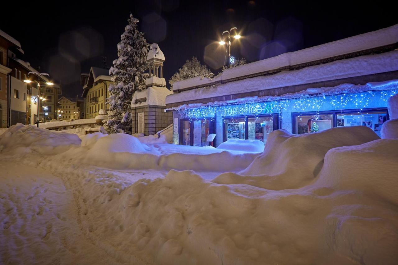 Guest house Casa Cadore