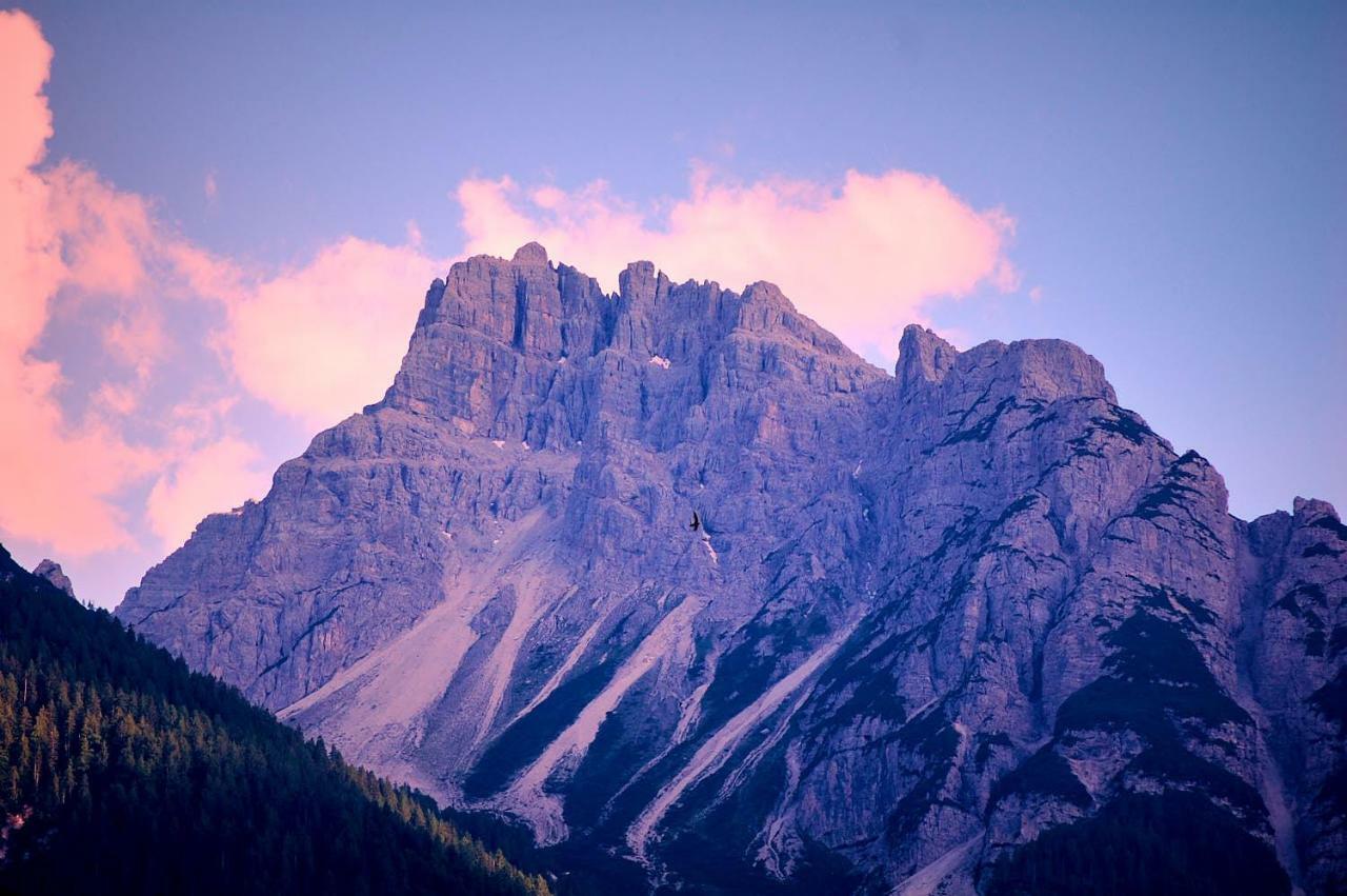 Guest house Casa Cadore *